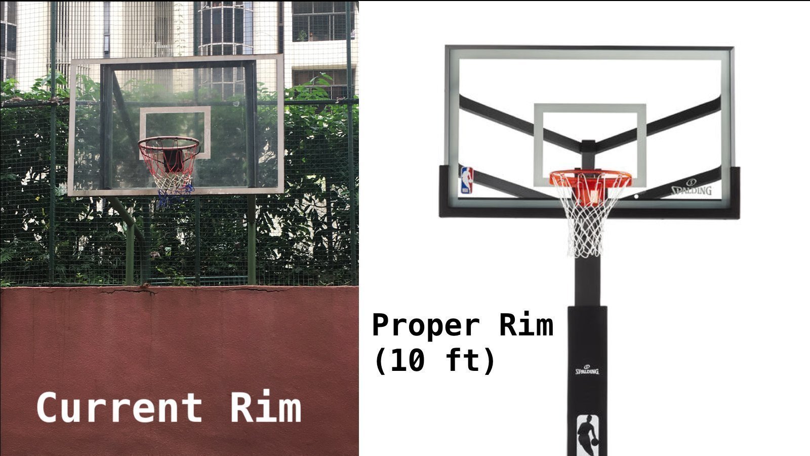 Petition · Purchase a proper NBA basketball rim for the basketball