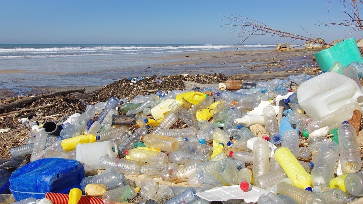 Petition · Using biodegradable plastic United States ·