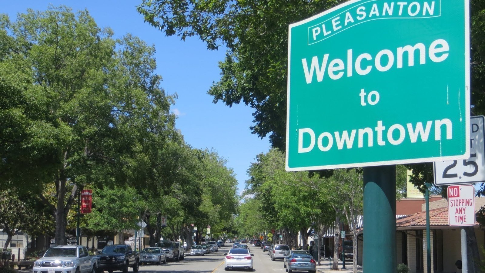 Petition · Exclusive Pedestrian/Bike Zone on central part of Main