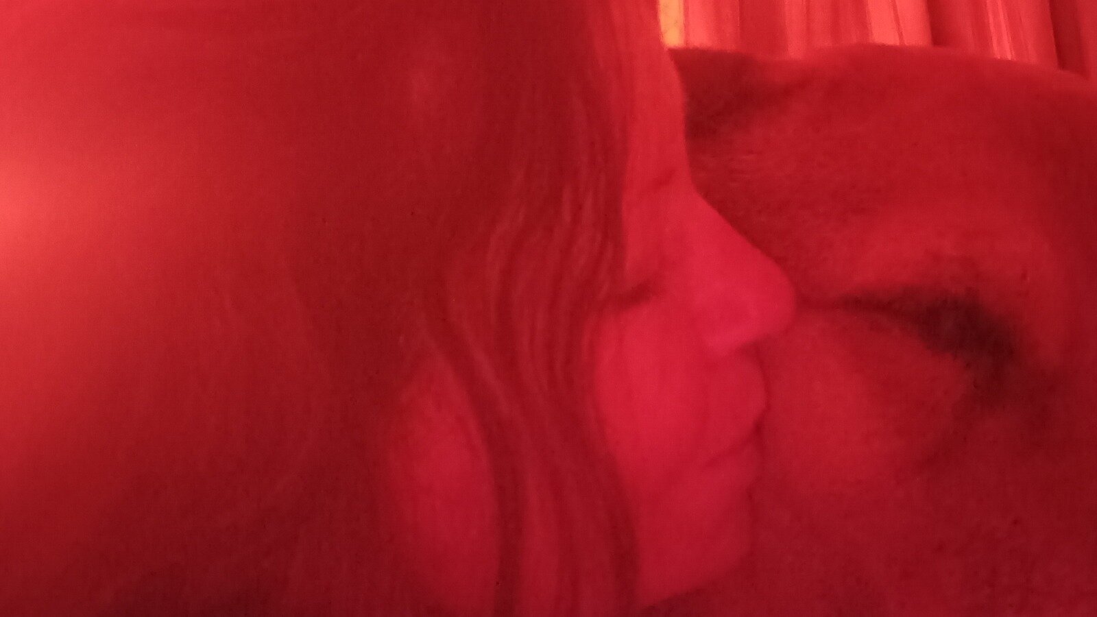 Petition · Justice for Coco muzzling elderly dogs United States