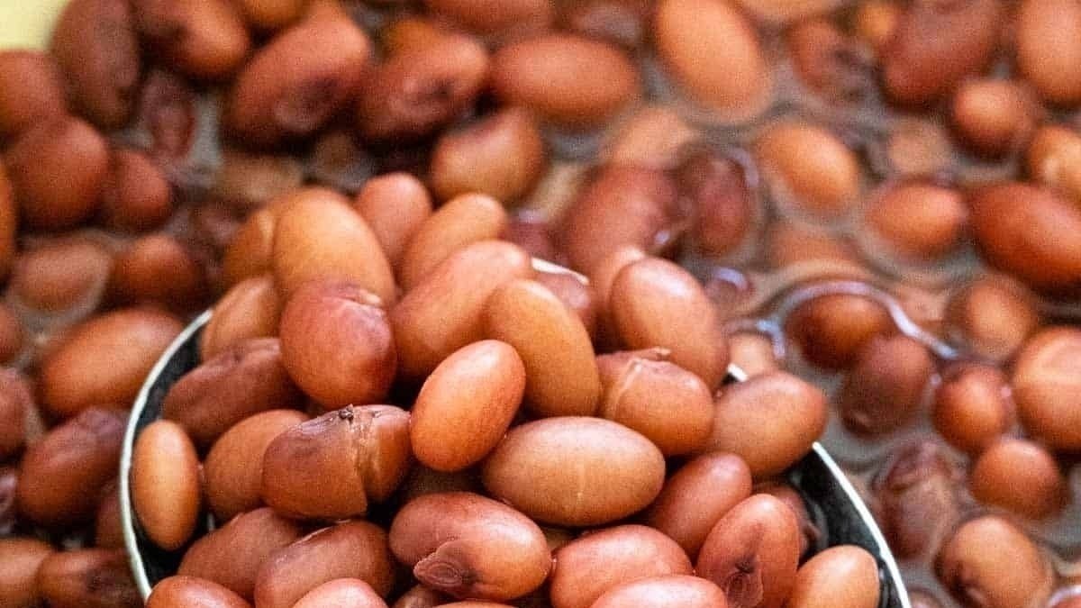 Petition · add the bean emoji to iPhone ·