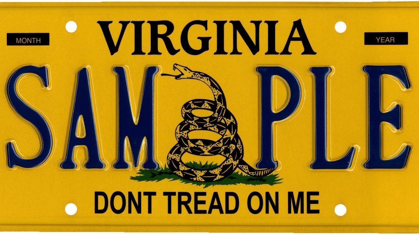 Petition · End the use of the Front License Plate. United States ·