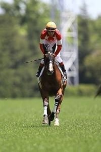 キャンペーン 日本中央競馬界 Jra 大阪市立大学馬術部部員の競馬場でのアルバイト雇用と 同部への馬の融通を早急に停止するようjraへ求めます Change Org