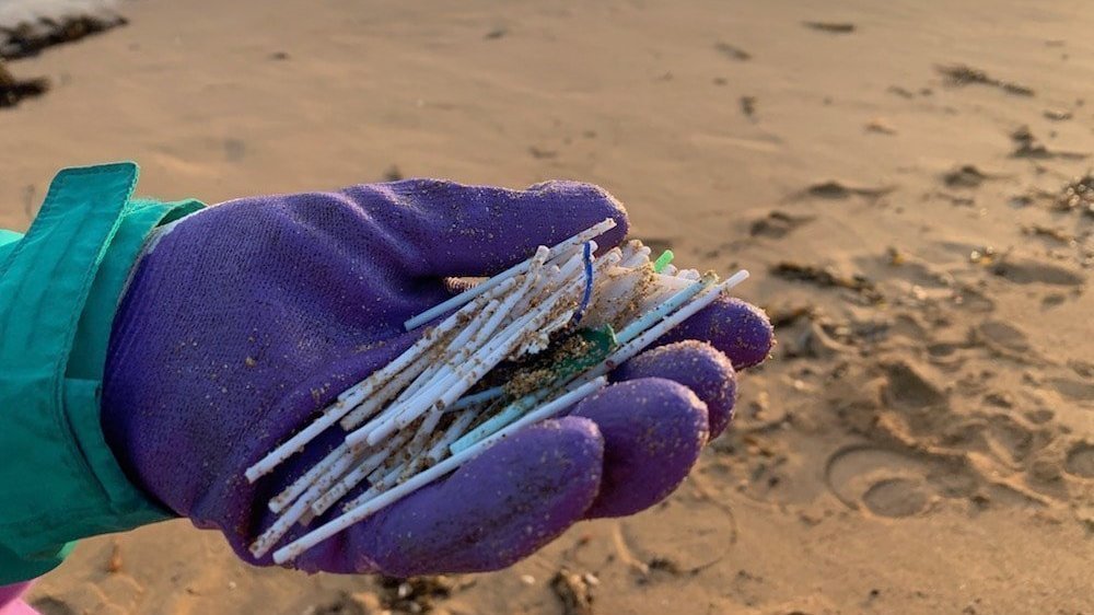 Petition · Ban Retailers from Selling Plastic Cotton Buds in Australia