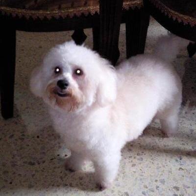 ChangeOrg profile picture for @mickey