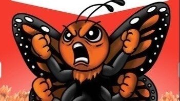 Save Us Monarch Butterflies – Ban Tropical Milkweed in Florida