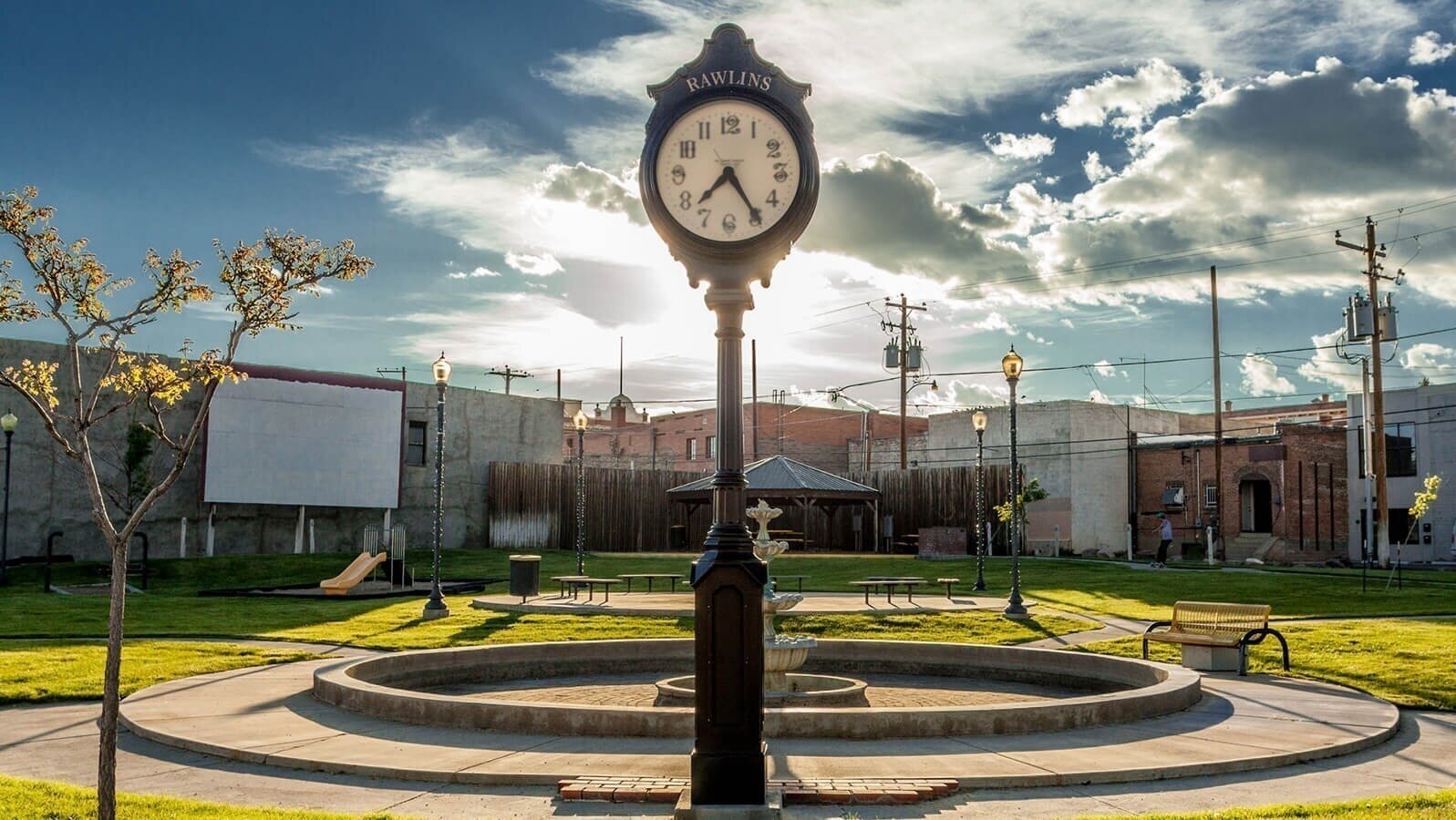 Petition · Amend Rawlins Municipal Code 6 . 04 . 030 to Prohibit All