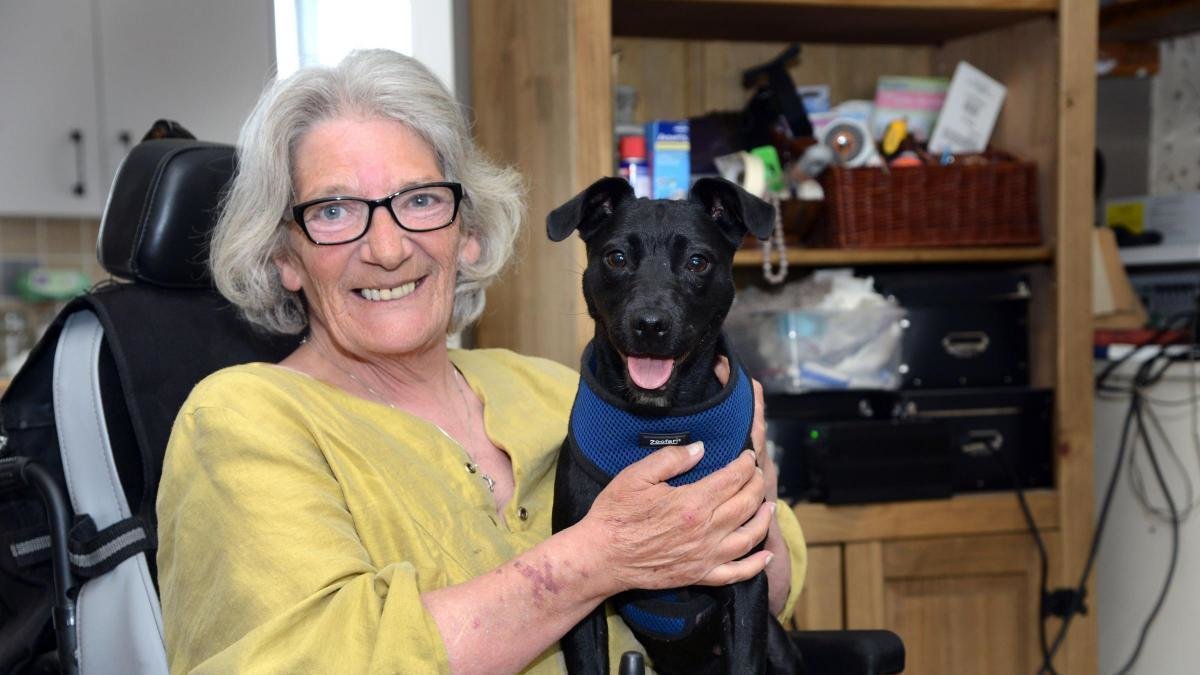 Petition · Make East Brighton Park safe for all users! United Kingdom