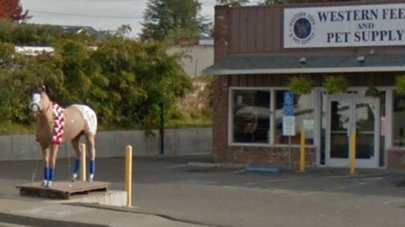 western feed and supply