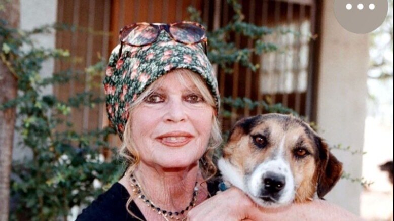 Petition update · 40 000 signatures en 19 jours : accélérons pour ...