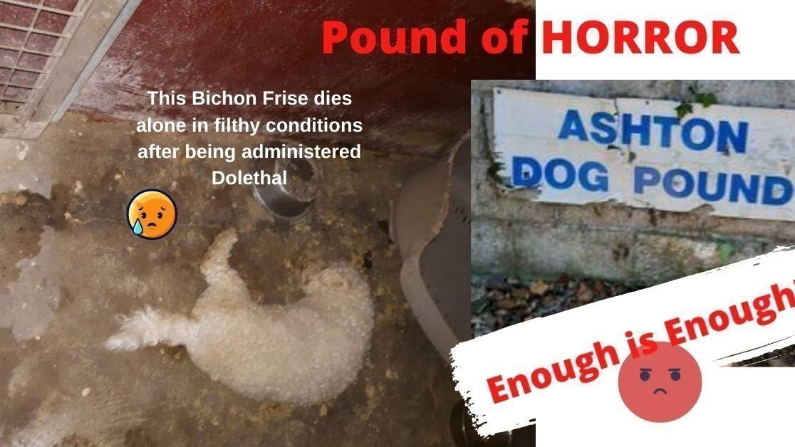 Petition · Ashton POUND must be retendered Immediately! ·