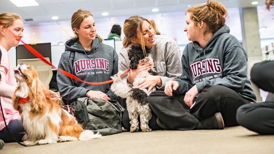 Petition · Start a Therapy Animal Program at the University of New