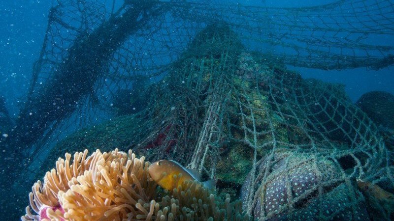 Petition · More Marine Protected areas NEED APPROVAL - Australia