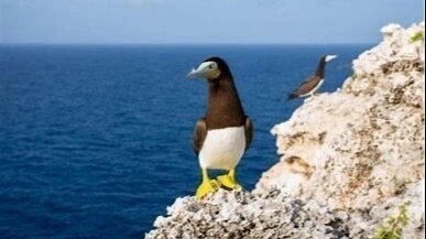 Petition · New PlanCayman proposals: Let Cayman Brac & Little Cayman be