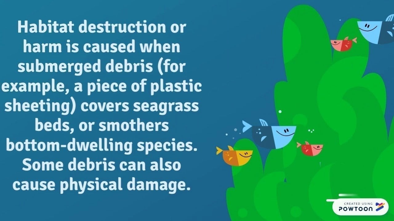 Petition · Be Involved in Marine Conservation, Before It’s Too Late
