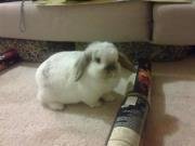 ChangeOrg profile picture for @mai