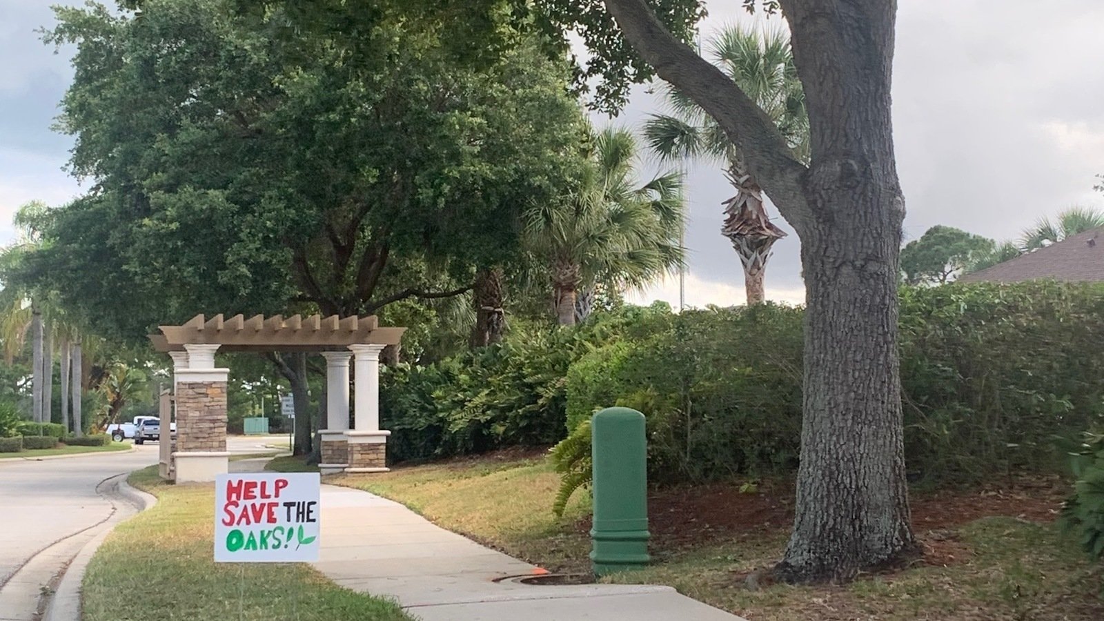 Petition · Save the Oak Trees in Capron Ridge! Melbourne, United