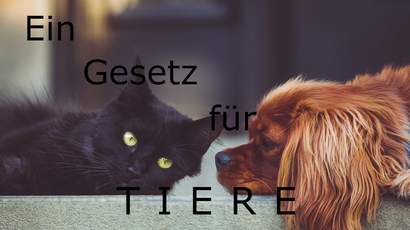 Petition · Tiere sollen vor Gericht nicht mehr als Sache gelten. Für ein eigenes Tiergesetz ...
