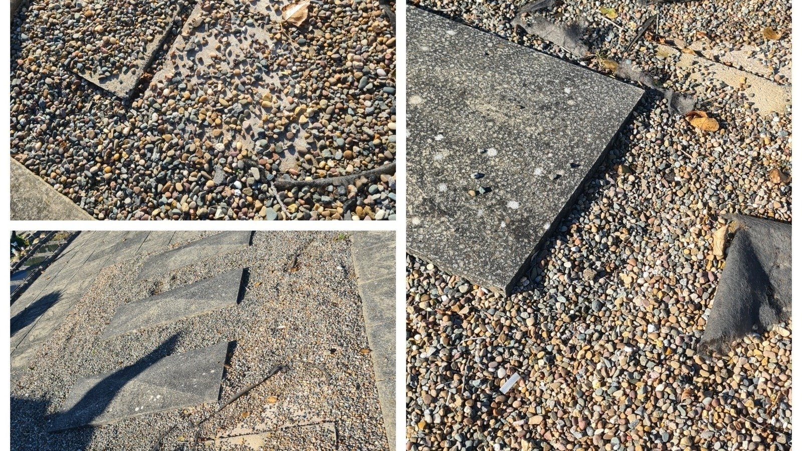 Petition · The Neptune gardens at Torrisholme cemetery United Kingdom