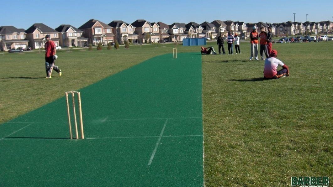 Petition · More Cricket grounds in Brampton and Mississauga Canada