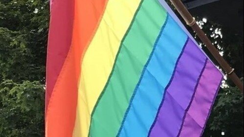 Petition · Northville Village Trustee Janet Rudd Hates the LGBTQ+ ...