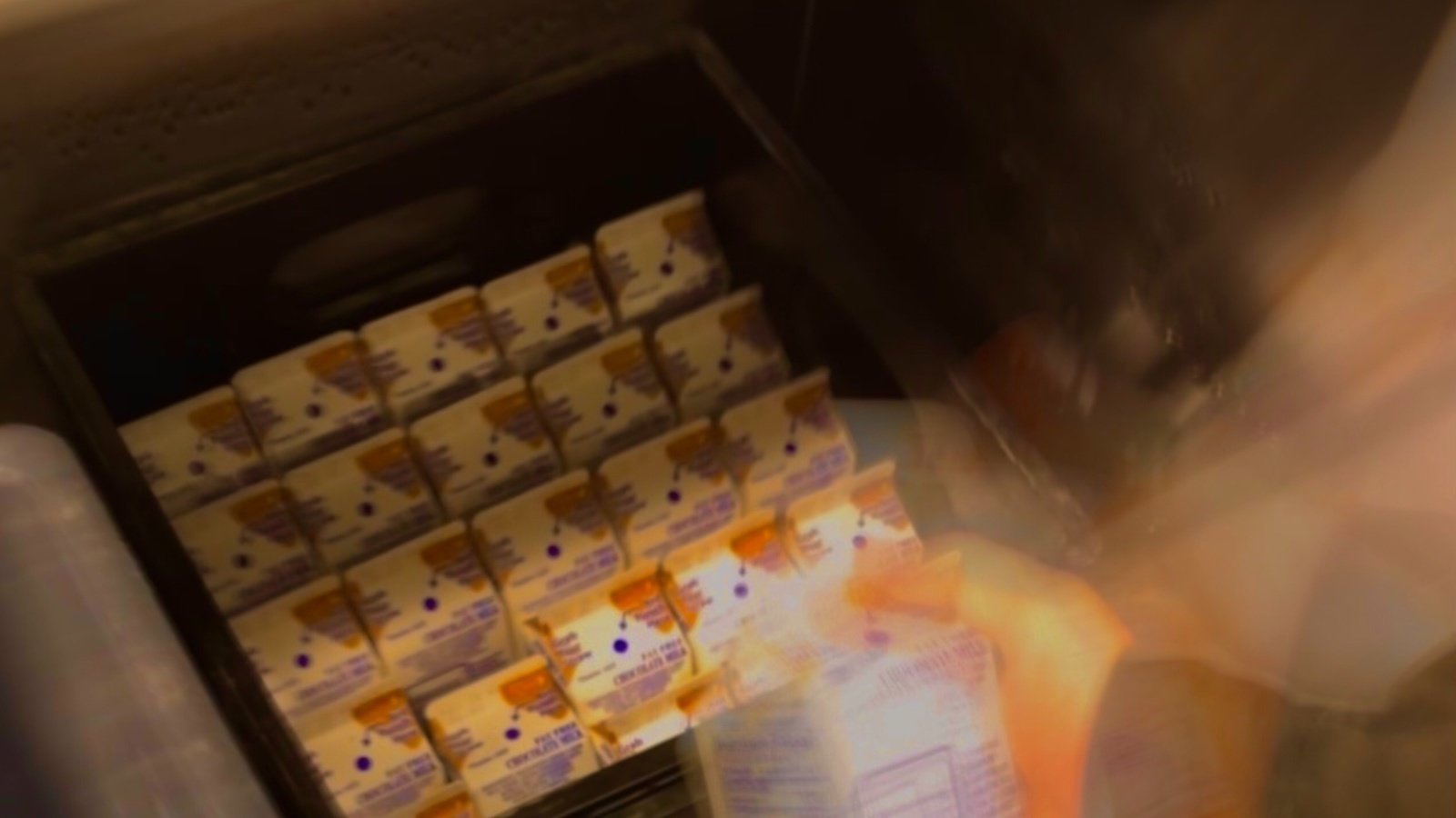 Petition · Preventing Mayor Adams from carrying out his chocolate milk