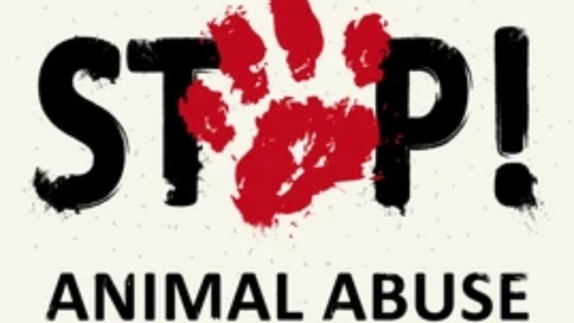 Petition review the maximum penalty for animal cruelty in northern