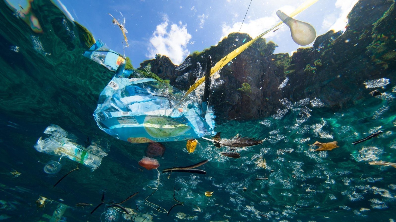 Petition · Ban plastic in the North Shore Canada ·