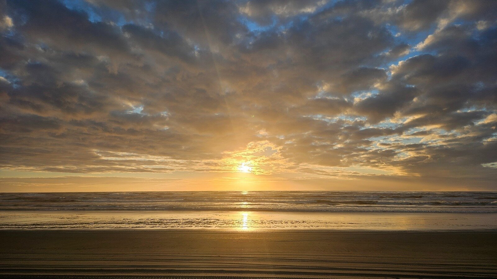 Petition · Cap Commercial MultiDwelling Rental Units on Point Brown