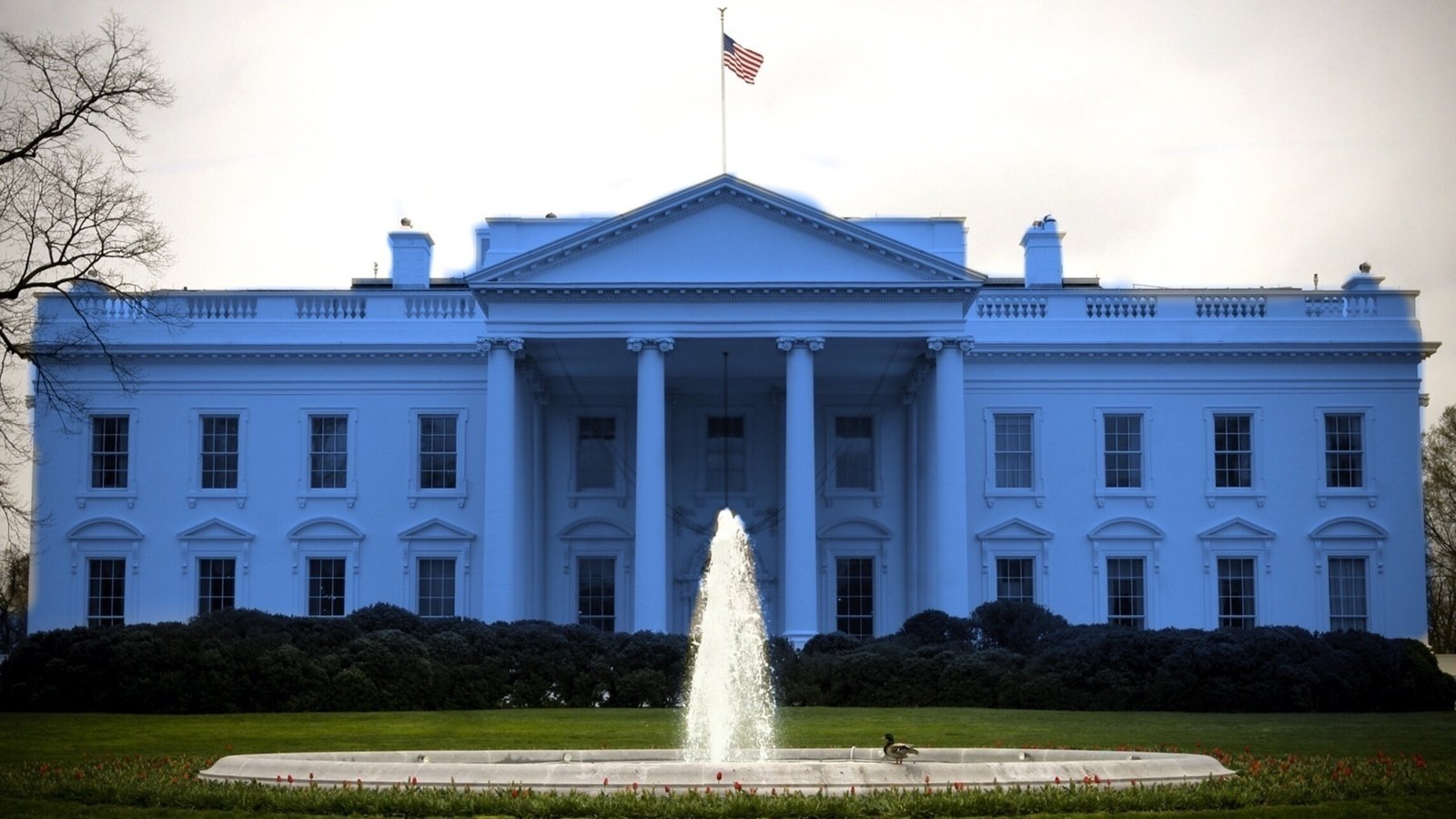 Petition · Paint the White House Blue United States ·