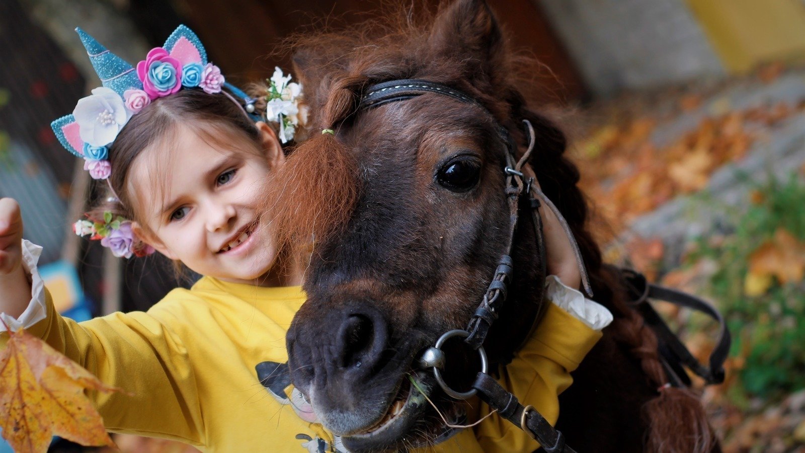 Петиция · Сохранить деятельность конного двора в Узком - Россия ...