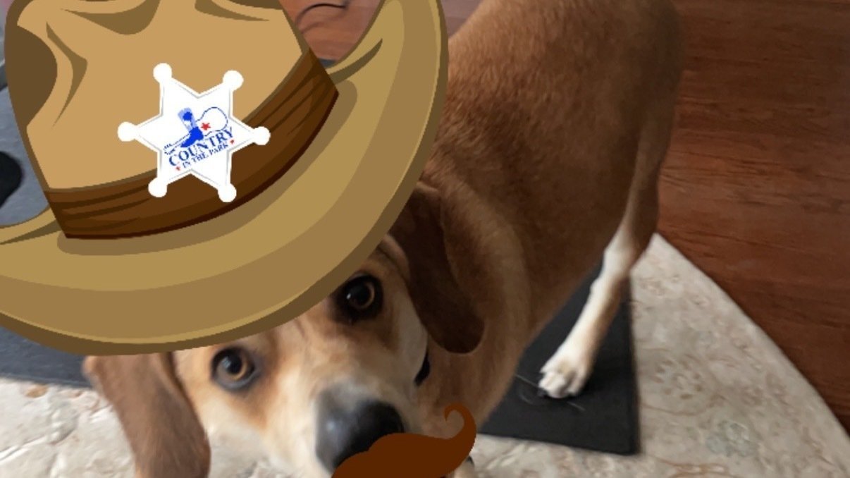 Petition Let s Get A Dog For Marty Change Petition Let s Get A Dog For Marty Change