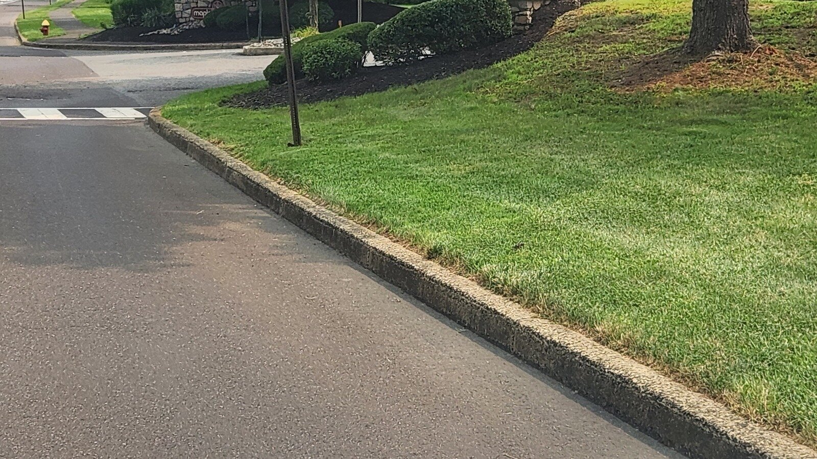 Petition · Pedestrian crosswalk lights needed at Maple Point and Briggs