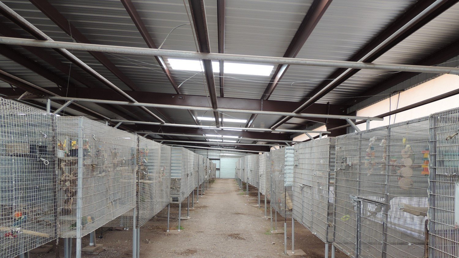 Petition · Change Alberta Pet Store Laws to Only Sell Rescued Animals