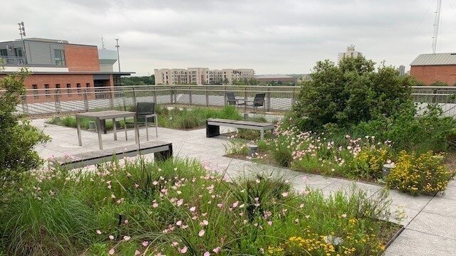 Trinity University Environment Petition · Enable Sustainability Initiatives at Trinity University ...