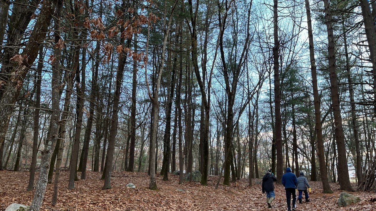 Petition · Safe Solar in Waltham Waltham, United States ·