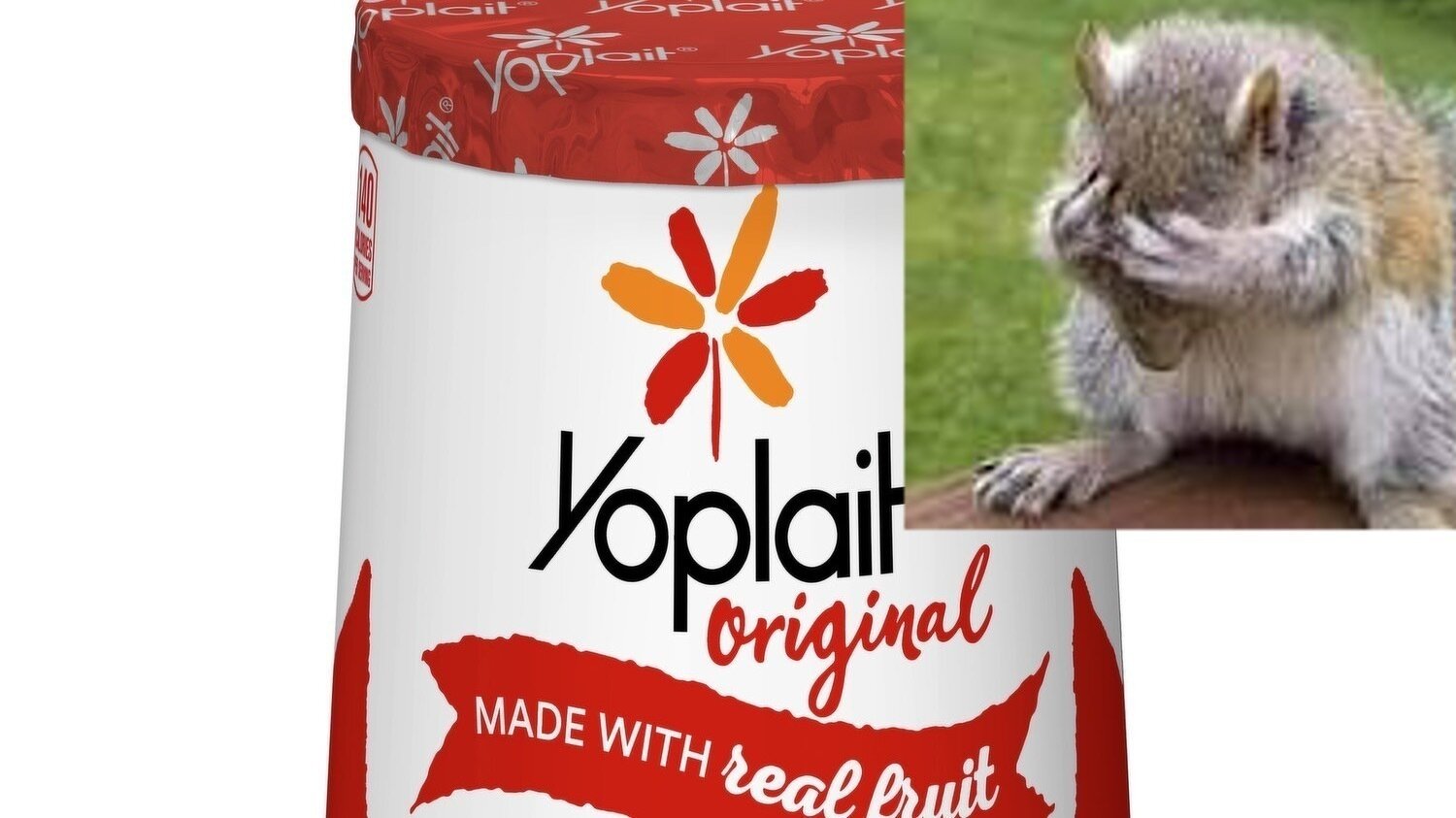 Petition · The Design of Yoplait Yogurt Containers is trash ·
