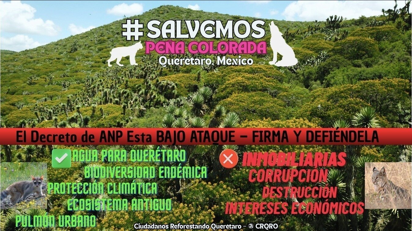 Petición · ANP Peña Colorada Querétaro ¡en PELIGRO otra vez! ¡Firma pls ...