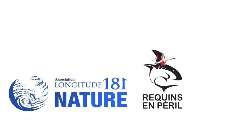 Marlin datant