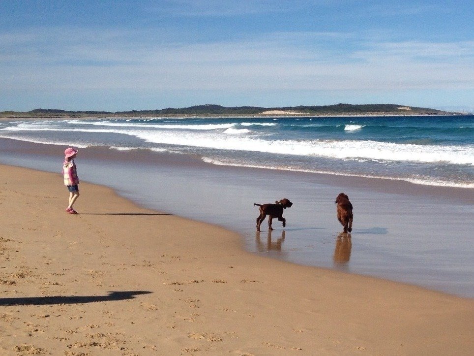 Petition · Reopen Greenhills/Wanda beach as a 24hr off leash dog area