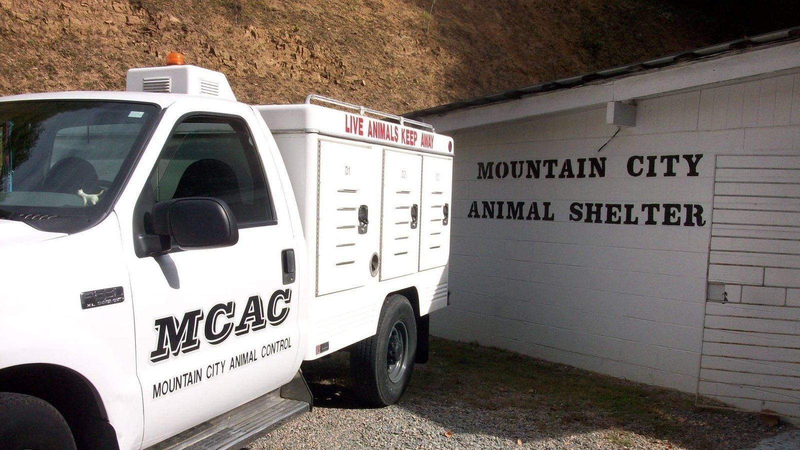 Petition · Allow Volunteers at Mountain City Animal Shelter United