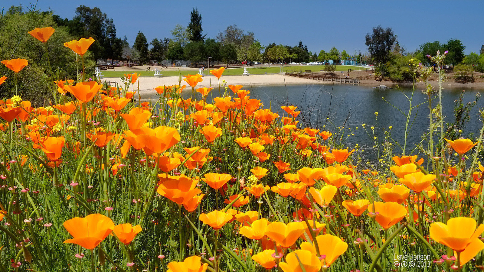 Petition · SAVE ALMADEN LAKE S C V Water District, City of San Jose, CA