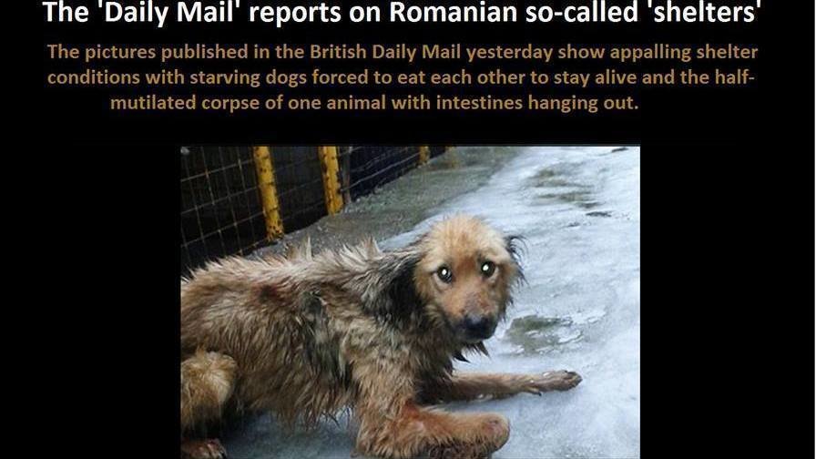Petition · CANCEL ROMANIA CONCERT IN JULY 2015 - United Kingdom