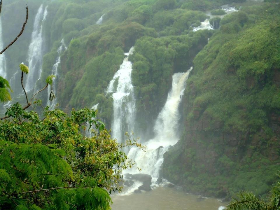 Petición · Detengan el daño a la Biosfera de Bosawas en Nicaragua