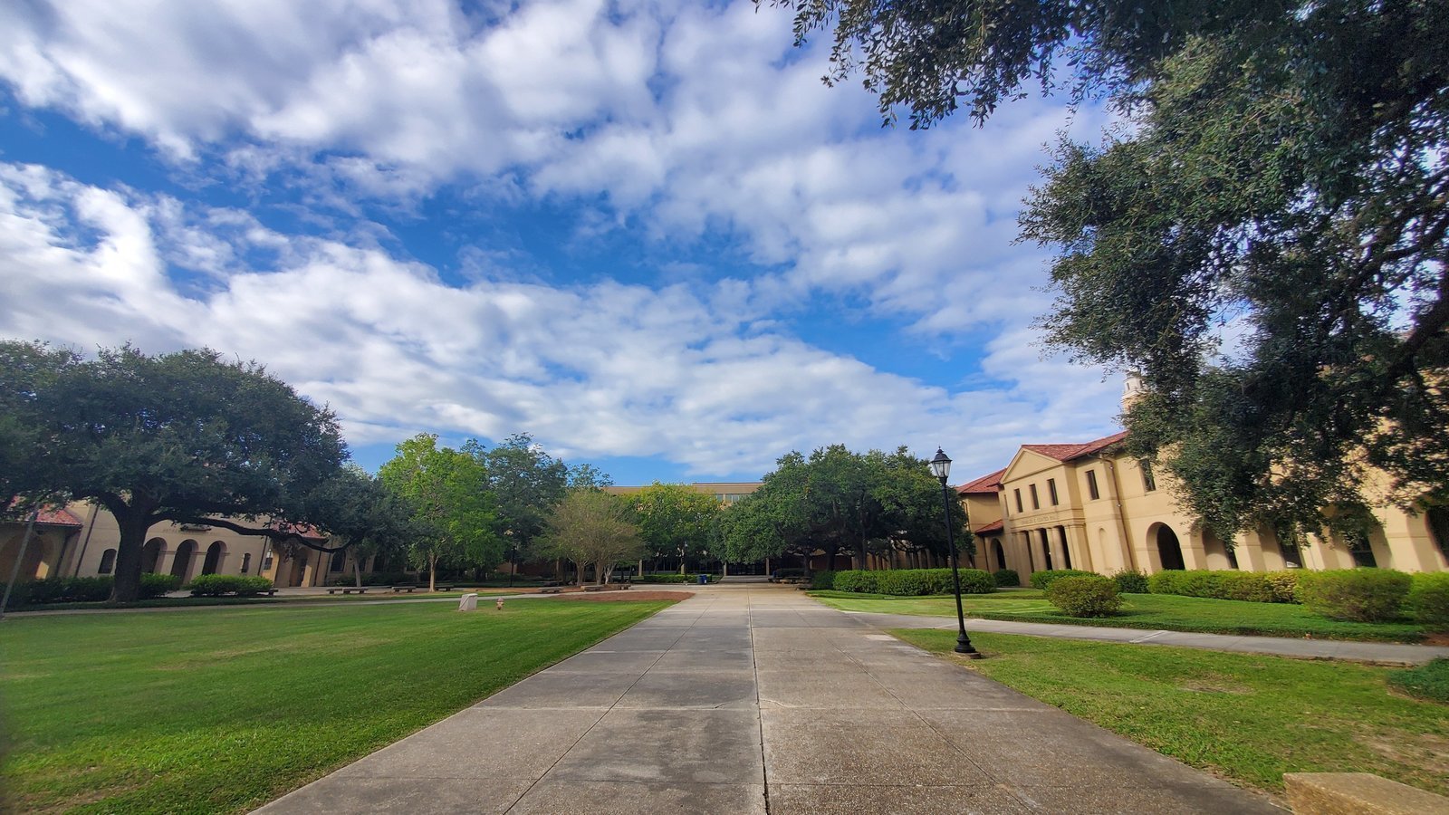 Petition Petition To LSU To Amend Final Grading Options To Include