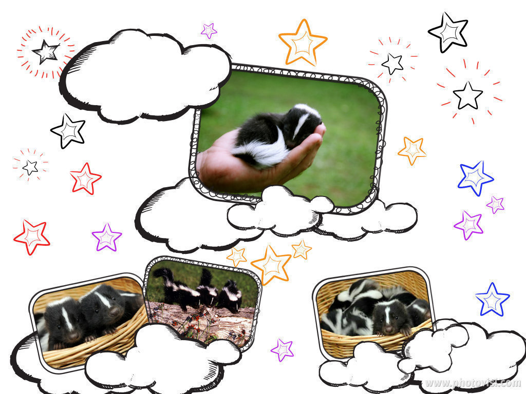 Petition · Utah's Division of Administrative Rules: Make skunks legal