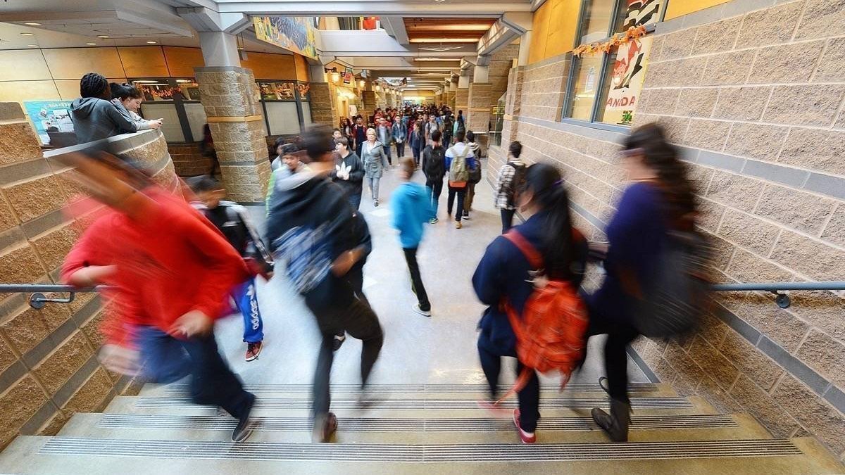 Petition · Change the YRDSB SS Education Model for the Year