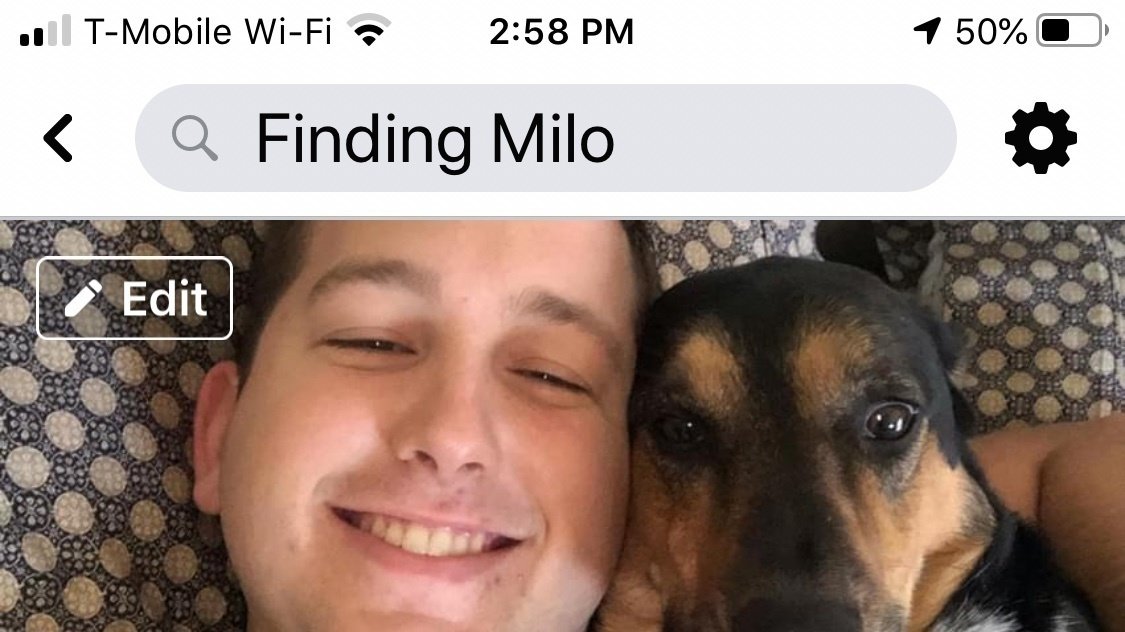 Petition · Milo, missing from a fatal accident United States ·