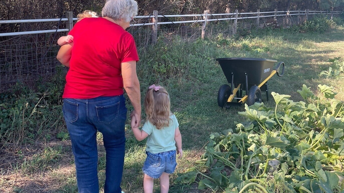 Petition · Proposal to allow chickens/ducks in town, with regulation