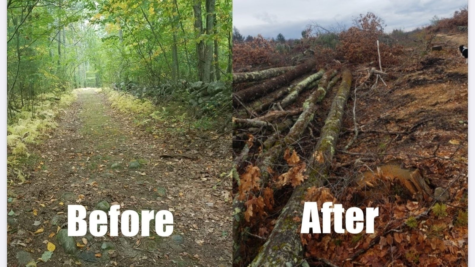 Petition · Stop 555 Hopping Brook Development in Holliston Ma United States ·